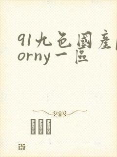 91九色国产porny一区