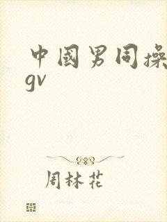 中国男同操亚洲gv
