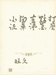 小狗有点打喷嚏流鼻涕怎么办