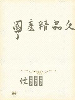 国产精品久久久了