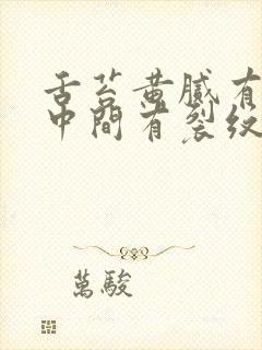 舌苔黄腻有齿痕中间有裂纹