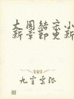 大团结宋小易最新章节更新