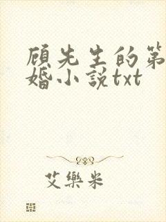 顾先生的第一宠婚小说txt