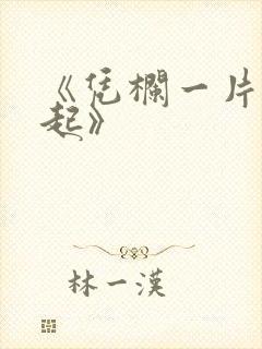 《凭栏一片风云起》封面