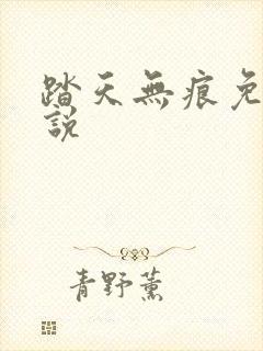 踏天无痕免费小说封面