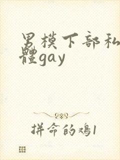 男模下部私密裸体gay