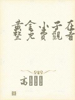 黄金小子在线完整免费观看高清