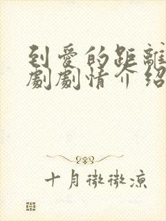 到爱的距离电视剧剧情介绍