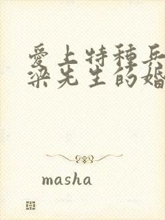 爱上特种兵2和梁先生的婚后日常