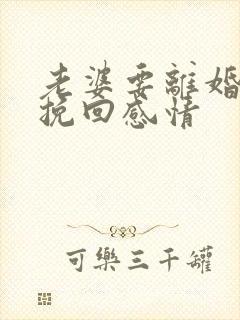 老婆要离婚如何挽回感情