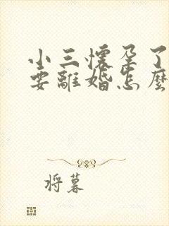 小三怀孕了丈夫要离婚怎么办封面