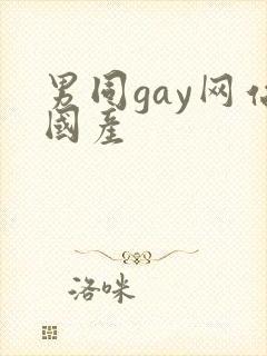 男同gay网站国产封面