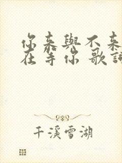 你来与不来我都在等你 歌词