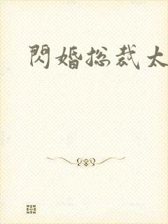 闪婚总裁太霸道