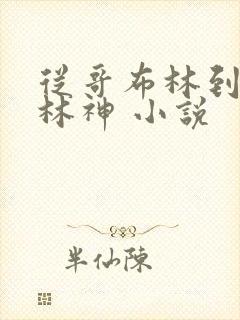 从哥布林到哥布林神 小说