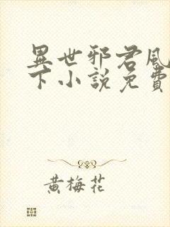 异世邪君风凌天下小说免费阅读封面