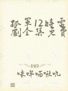 孤军12时电视剧全集免费播放高清