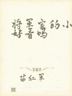 将军家的小娘子好看吗