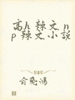 高h 辣文 np 辣文小说