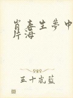 肖春生梦中的那片海封面