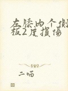 左膝内个侧半月板2度损伤