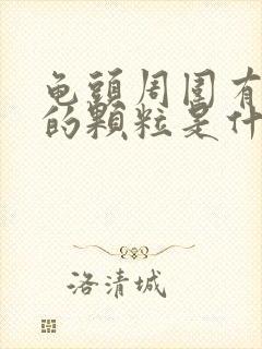 龟头周围有白色的颗粒是什么封面