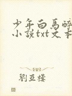 少年白马醉春风小说txt文本下载