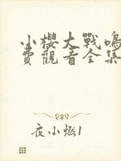 小樱大战鸣人免费观看全集