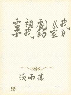 电视剧《我的孩子我的家》