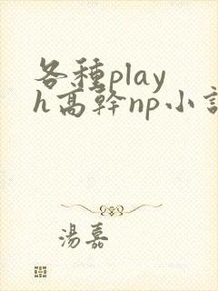 各种play h高干np小说