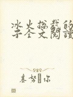 冰火总裁的小妻子全文阅读封面