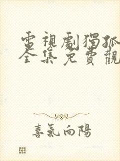 电视剧独孤天下全集免费观看封面