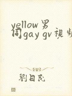 yellow男同gay gv视频在线观看