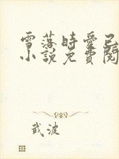 雪落时爱已落幕小说免费阅读