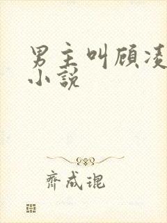 男主叫顾凌风的小说封面