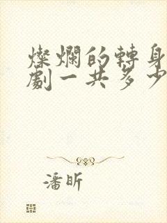 灿烂的转身电视剧一共多少集