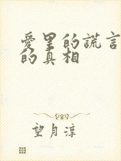 爱里的谎言仇恨的真相