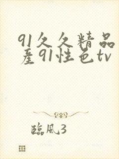 91久久精品国产91性色tv封面