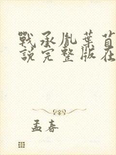 战承胤叶苜苜小说完整版在哪看