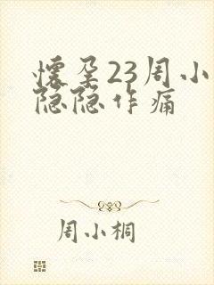 怀孕23周小腹隐隐作痛