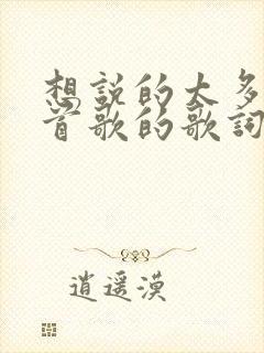 想说的太多是哪首歌的歌词