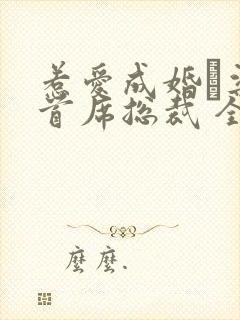 惹爱成婚·染指首席总裁 全文阅读