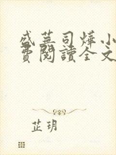 盛芜司烨小说免费阅读全文无弹窗