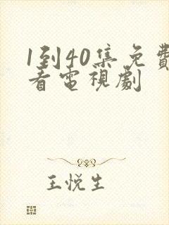 1到40集免费看电视剧封面