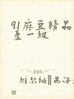 91麻豆精品国产一级