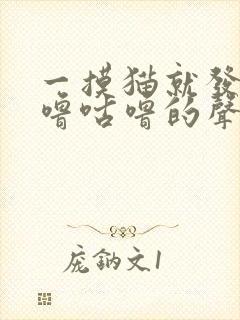 一摸猫就发出咕噜咕噜的声音