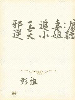 邪王追妻:废材逆天小姐听书