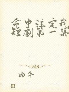 命中注定我怼你短剧第一集的道士是