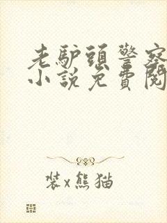 老驴头警察妈妈小说免费阅读全文无