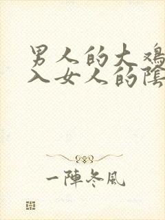 男人的大鸡鸡插入女人的阴道里